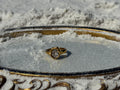 Luminous Fate Signet Ring